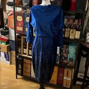 Badgley Mischka Deep Blue Velvet Long Sleeve Dress. Worn once.